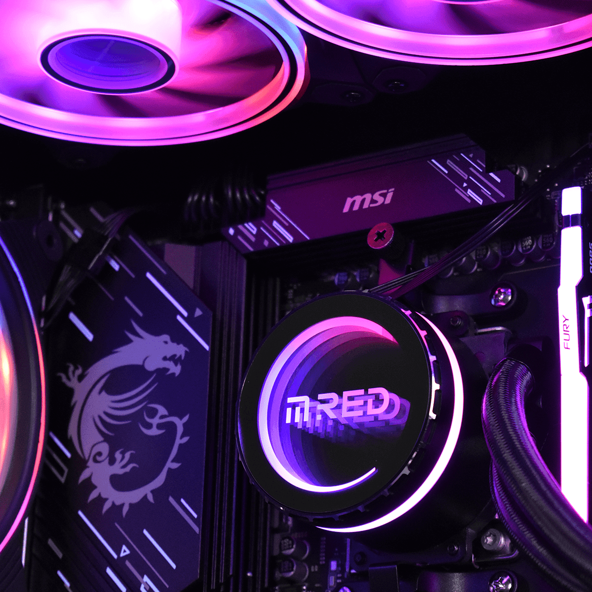 Purple Side VisioN-C 3